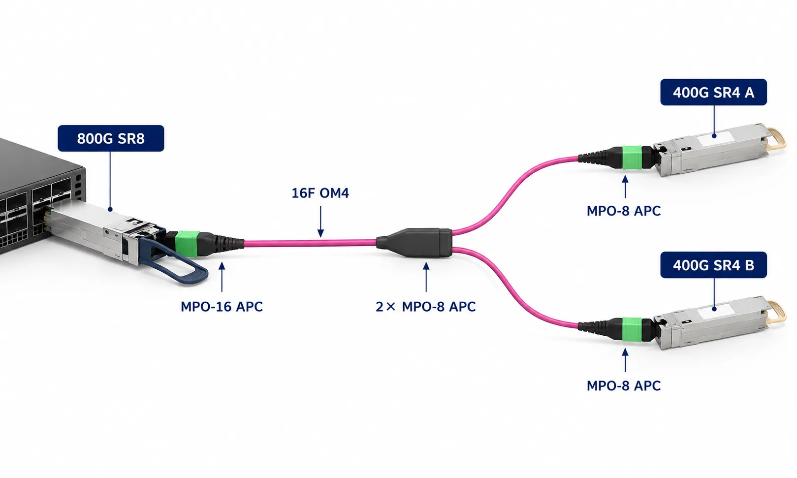 800G SR8 to 2x 400G SR4 MPO breakout topology