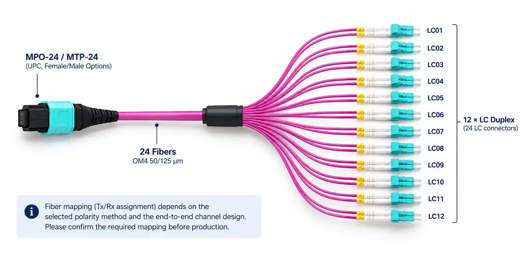 MPO-24 To 12× LC Duplex OM4 Breakout Cable | 24F