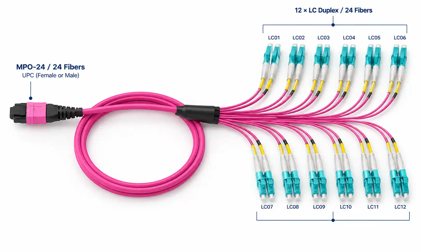 MPO-24 to 12 LC duplex breakout cable structure