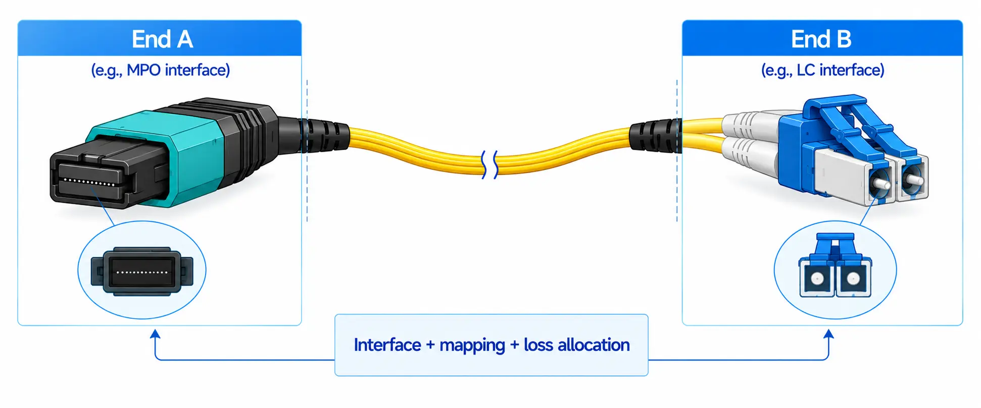MPO Conversion Cable Selection Guide: Endpoints, Gender, Polarity and Fiber Map