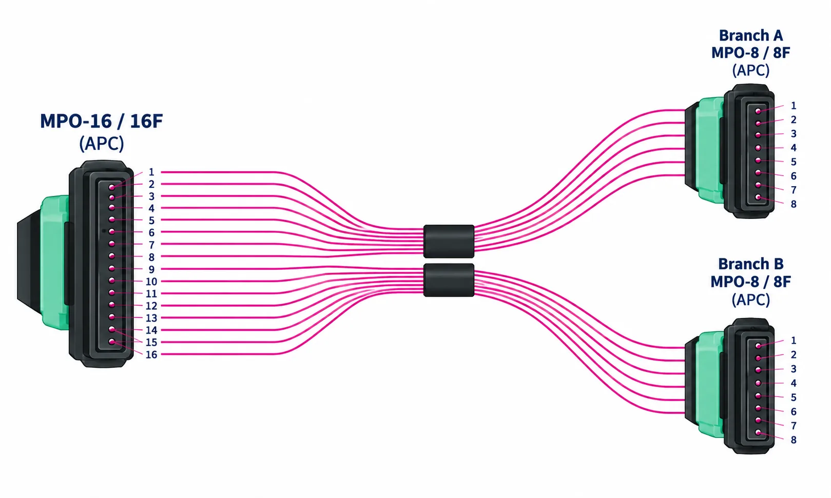 16 fiber MPO-16 to 2x MPO-8 fiber mapping diagram 16 fiber MPO-16 to 2x MPO-8 fiber mapping diagram