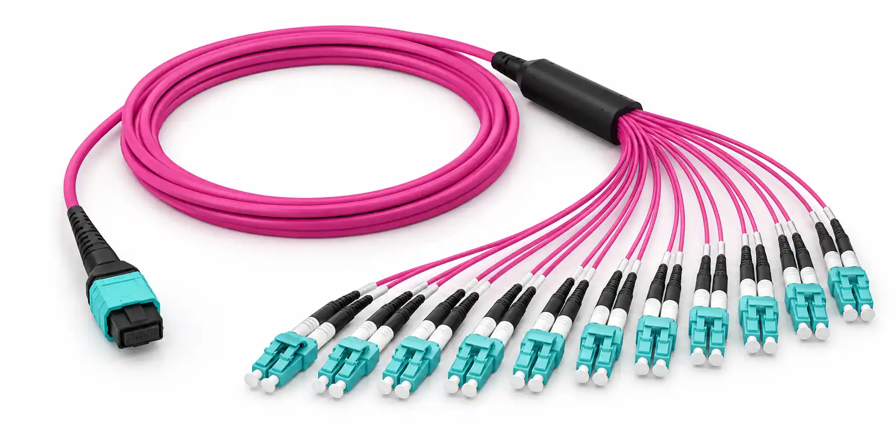 MPO-24 to 12 LC duplex OM4 breakout cable MPO-24 to 12 LC duplex OM4 breakout cable