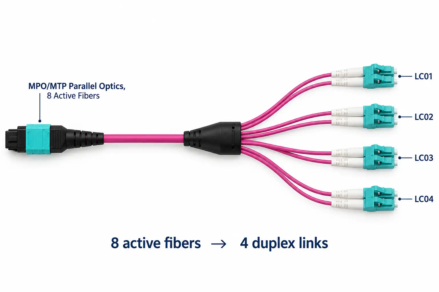 8 fiber MPO to 4 LC duplex breakout structure 8 fiber MPO to 4 LC duplex breakout structure